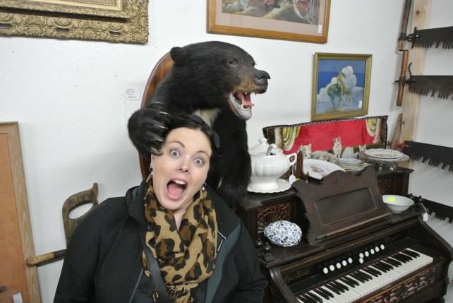 Many dead animals were in that building, which made for about 30 seconds of fun!