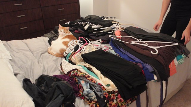 And it all goes on the bed for sorting...